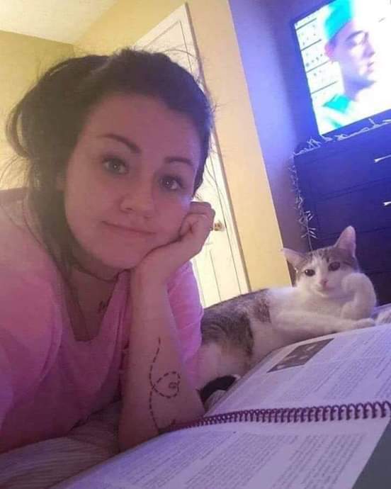 toland_sam's tweet photo. Study buddies. https://t.co/ZuGUDKs4aP