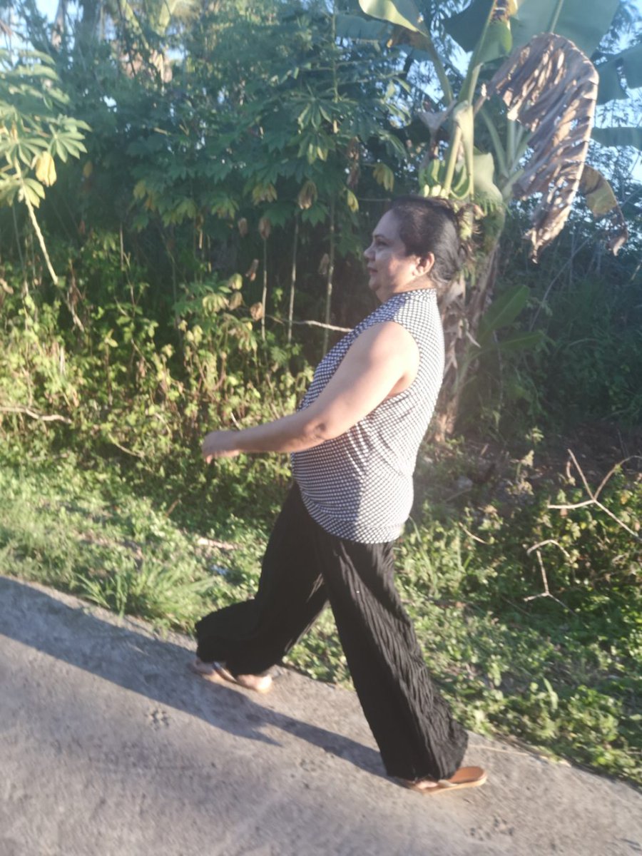 NasDean's tweet photo. Today's #StetWalk included multiple trips down the driveway! #BadBack #SlippedDisk #SedentaryLifestyle https://t.co/CYNG4xaeVJ