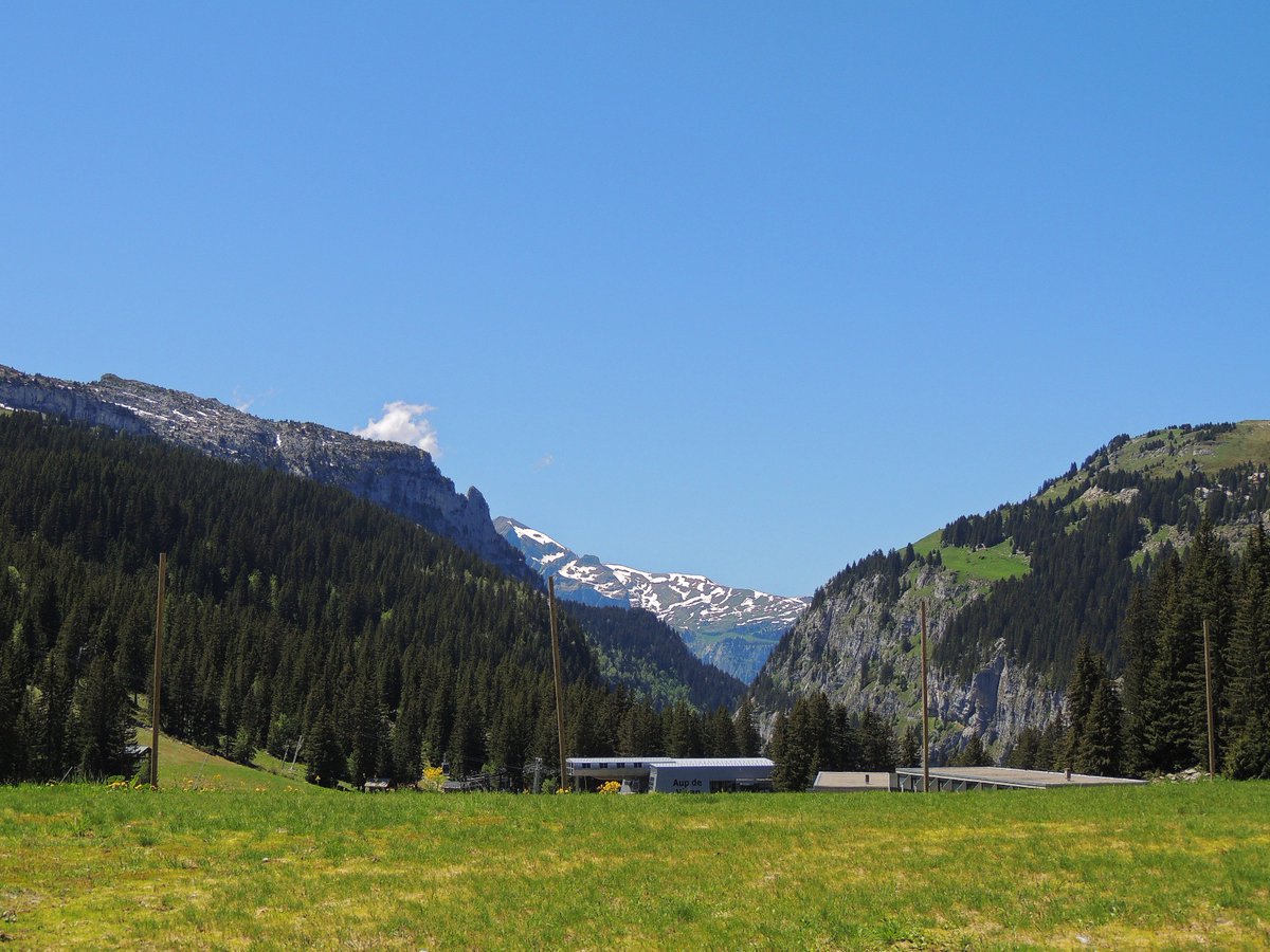 FLAINESki's tweet photo. #flaine #letearrive #sun ☀️☀️ #soleil #cacestflaine #airpur #chaleur #activitésgratuites #flaineletecestgratuit #montagnes #randonnees #famille #enfants infos https://t.co/XOVCJQUCgc😉👍🌞🌞 https://t.co/w9d3uVrOLE