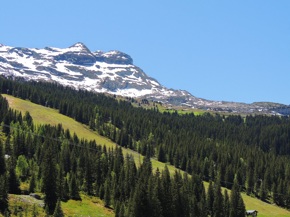 FLAINESki's tweet photo. #flaine #letearrive #sun ☀️☀️ #soleil #cacestflaine #airpur #chaleur #activitésgratuites #flaineletecestgratuit #montagnes #randonnees #famille #enfants infos https://t.co/XOVCJQUCgc😉👍🌞🌞 https://t.co/w9d3uVrOLE