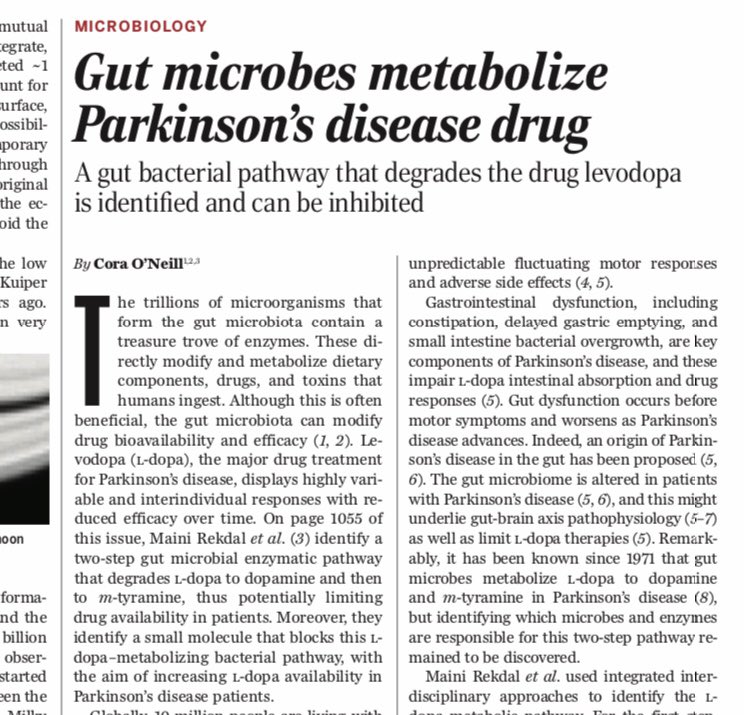An insightful perspective piece by Cora O’Neill on how gut microbes metabolise the #Parkinsons disease drug L-dopa. <a href="/Pharmabiotic/">APC Microbiome Ireland</a> <a href="/UCC/">UCC Ireland</a> <a href="/bioucc/">Biochemistry UCC </a> science.sciencemag.org/content/364/64…