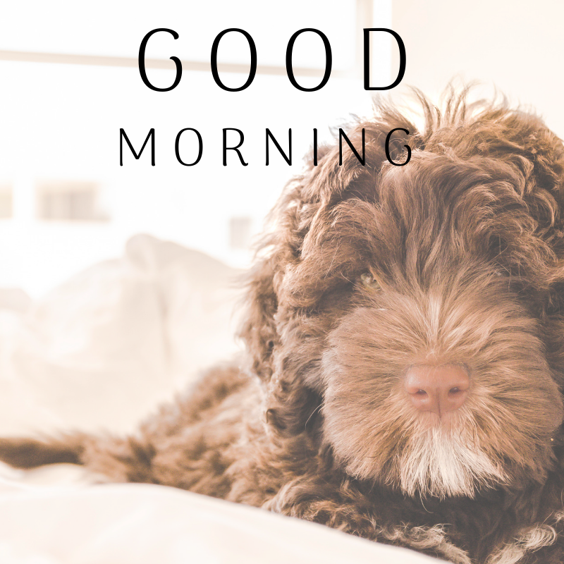 PizzazzRetail's tweet photo. Have a great week everyone 👍
#mondaymotivation #mondaymorning #goodmorning #mondayvibe #MondayMood #mondaymuse #mondayvibe #newweek #mondaythoughts https://t.co/Ua4FEWIXRw