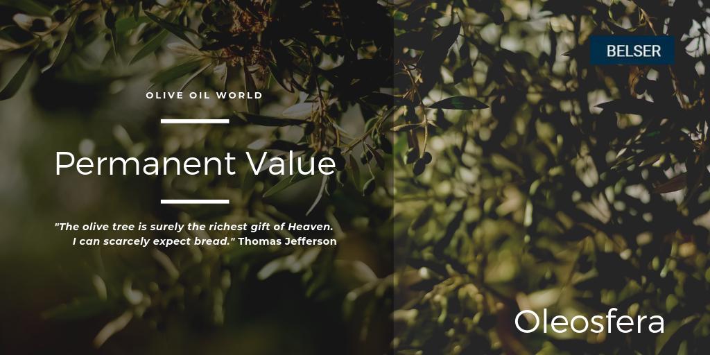 Belser_Group's tweet photo. We launch #Oleosfera with the novelty you will have a direct channel of #communication with our #experience and knowledge, giving you an added #value and offering you our support in your decision making on the #olive #orchad and #oliveoil. https://t.co/r4k5cFU3NA  #evoo https://t.co/W5fokbReat