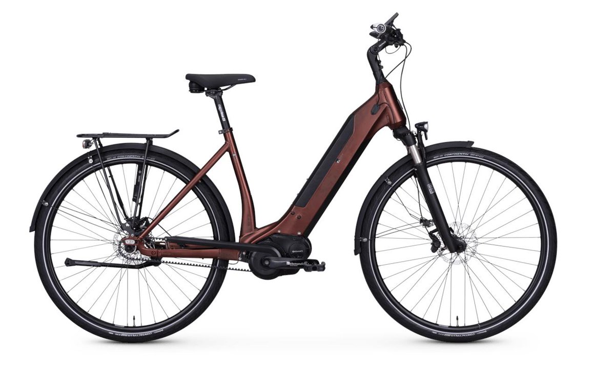 ebm e-bikemanufaktur tweet media