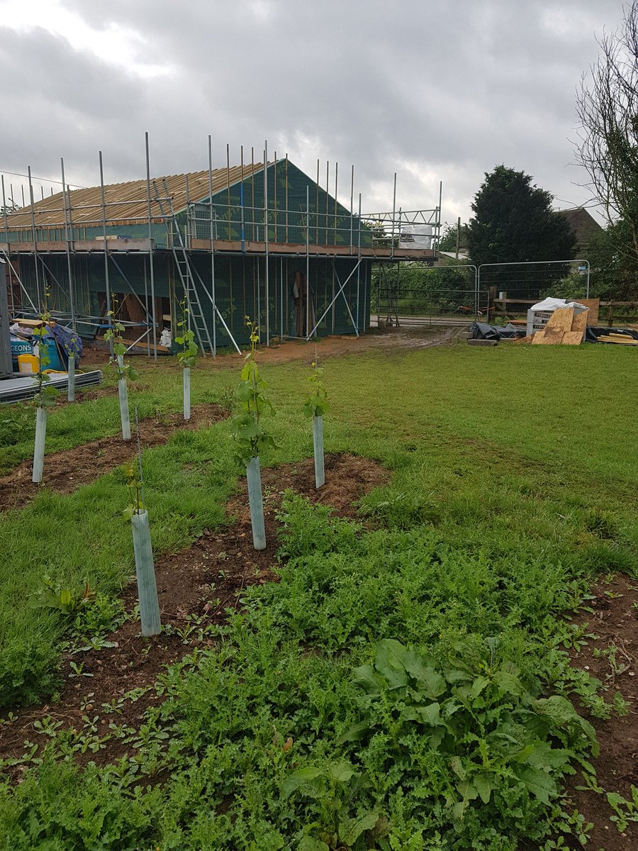 Soon you will be able to stay on our vineyard