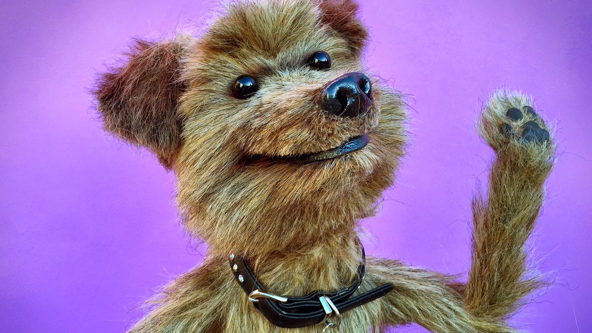 HackerTDog's tweet photo. "I'm so sad it's Friday, I wish it was Monday"

Said no one in history. Ever!

#FridayFeeling https://t.co/IUIz6zdSR3