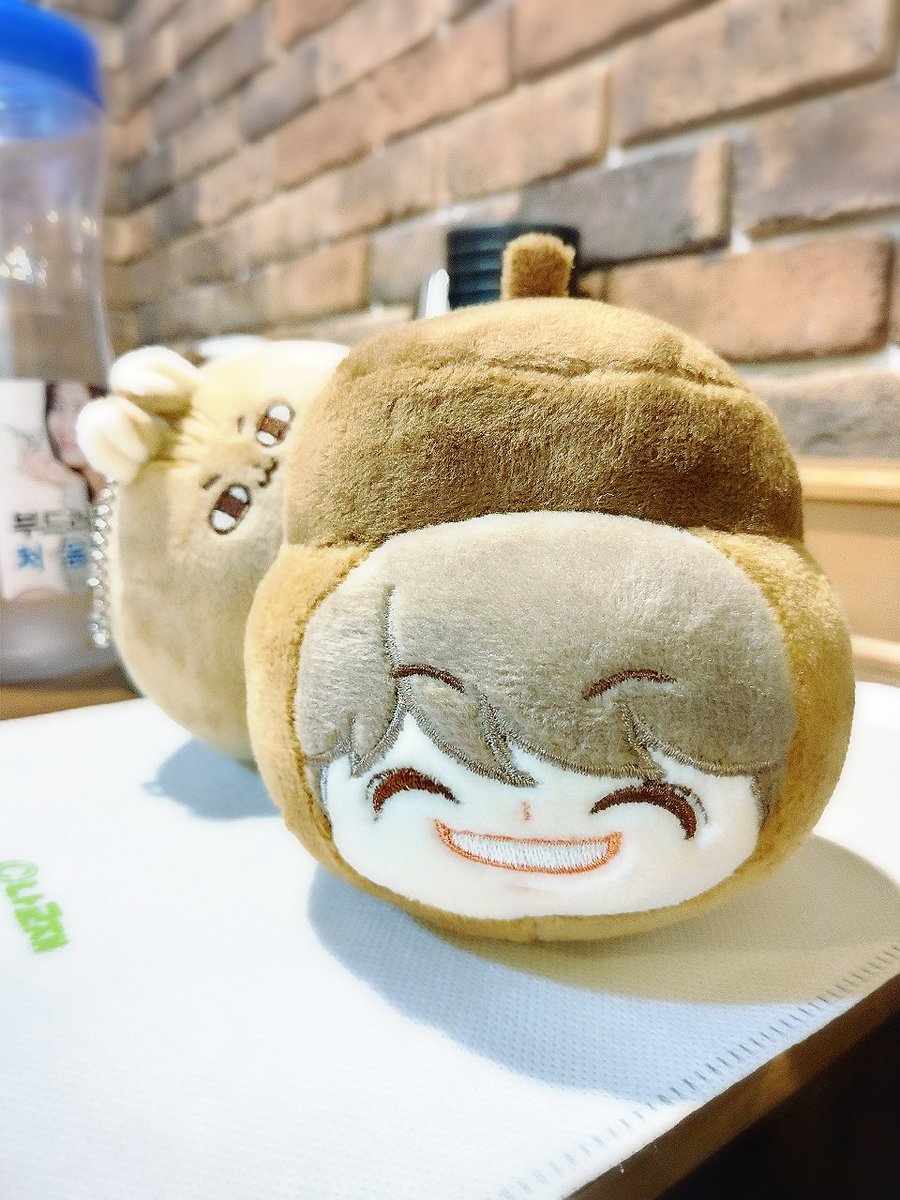 도토리젠 & 다람쥐잼【재고판매】 tweet media