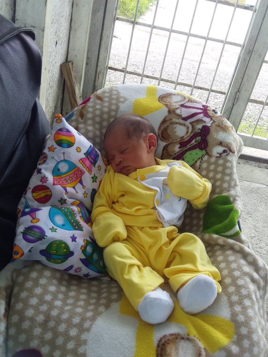 YelimarGrabiela's tweet photo. Lo mas consentido y malcriado😍💘. https://t.co/QfWN0IW3Wf