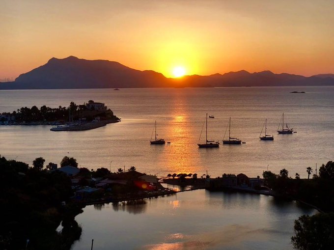 20 Kasim 2023 G�n�n Resmi Dat�a G�n Do�umu