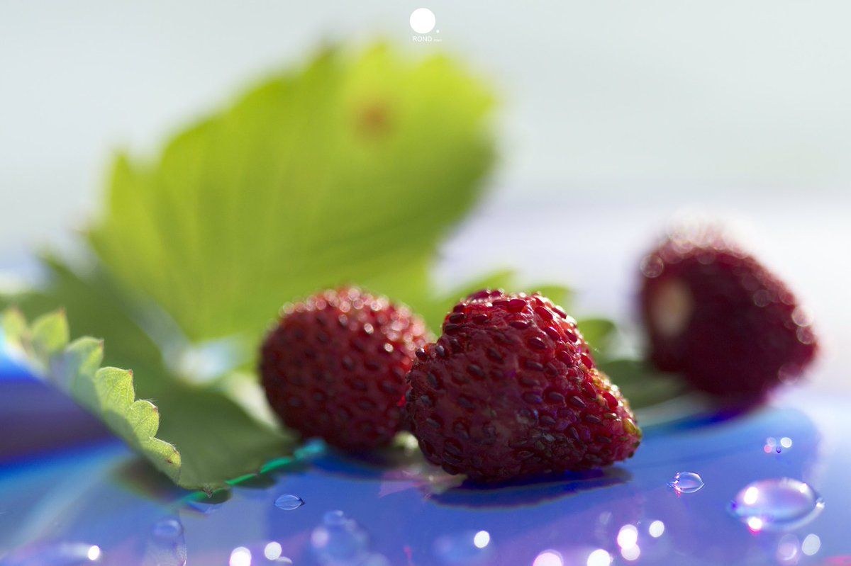 RondPoint_'s tweet photo. •🍓
Dispo https://t.co/12RGjzJX3J 

#canonphoto #photooftheday #nature #rondpoint #photography #photo  #France #love #breakfast #morning #fruits #strawberry #healthyfood #macro #macrophotography https://t.co/NQM23kG1A0