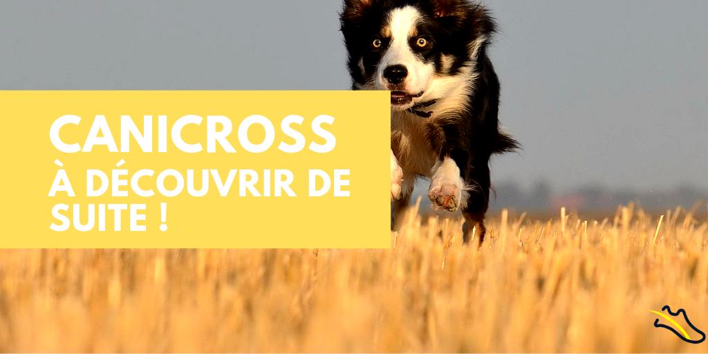 🐶 Dog lovers 🐶  
Avez vous déjà pensé à partager votre #passion pour le #running avec votre compagnon à 4 pattes ?
Découvrez le #canicross, tendance 2019 ✔️
buff.ly/2VHdwyf