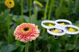 RoboValley's tweet photo. Don't miss out our next #RoboCafé, Tuseday 18 June. We have invited two new #robotics startups to share their story with us: @PatsDrones and #ROCSYS. https://t.co/VM7EIoXryY https://t.co/Bjo8veJZat