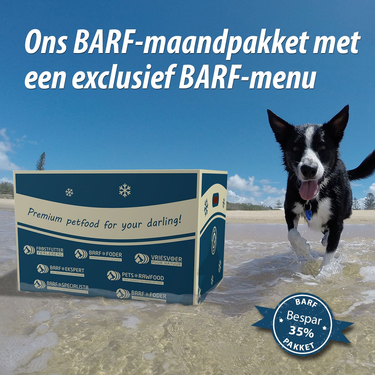 Vriesvoer's tweet photo. Voor ons BARF-maandpakket in juni hebben wij iets heel speciaals bedacht voor jullie 🤩

➡ https://t.co/X7r54oVdTC

#honden #katten #vriesvoer #versvoer #barf #hondenvoer #kattenvoer #kauwartikelen #healtydog #cat #dog #rawfood #puppy https://t.co/1FefWLGHNx