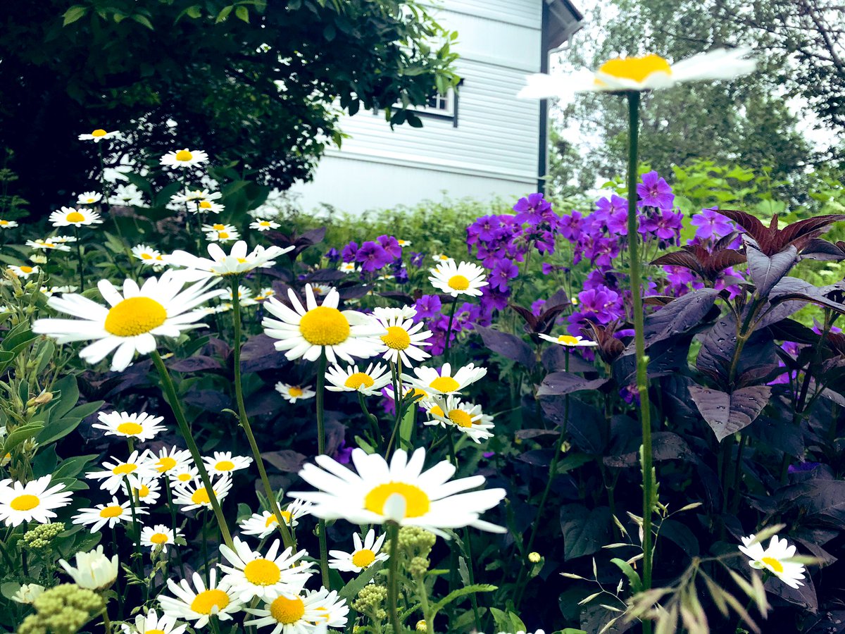 foibekartano's tweet photo. Hyvää kaunista huomenta #Foibekartano’lta! Saimme tänään aamiaisvieraaksi @GrannMi #Gonodo’sta! Innostavaa keskustelua #asennejainnovatiivisuus #elämykset #yksilöllisestijaYhdessä #resilienssi #luovuus #odotettavatAsiat @TuoviHippe @ullabroms #Periscope @foibekartano https://t.co/wZ4WYrMu3c