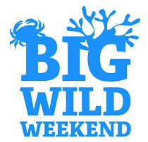 SWTlearningteam's tweet image. We're half way through @30DaysWild which means it's the #bigwildweekend Lots to do with our team - Tea Party, Stag Beetle Hunt, Summer Discovery Day and Den building for #FathersDay BOOK NOW bit.ly/2WG6y8r @suffolkwildlife
