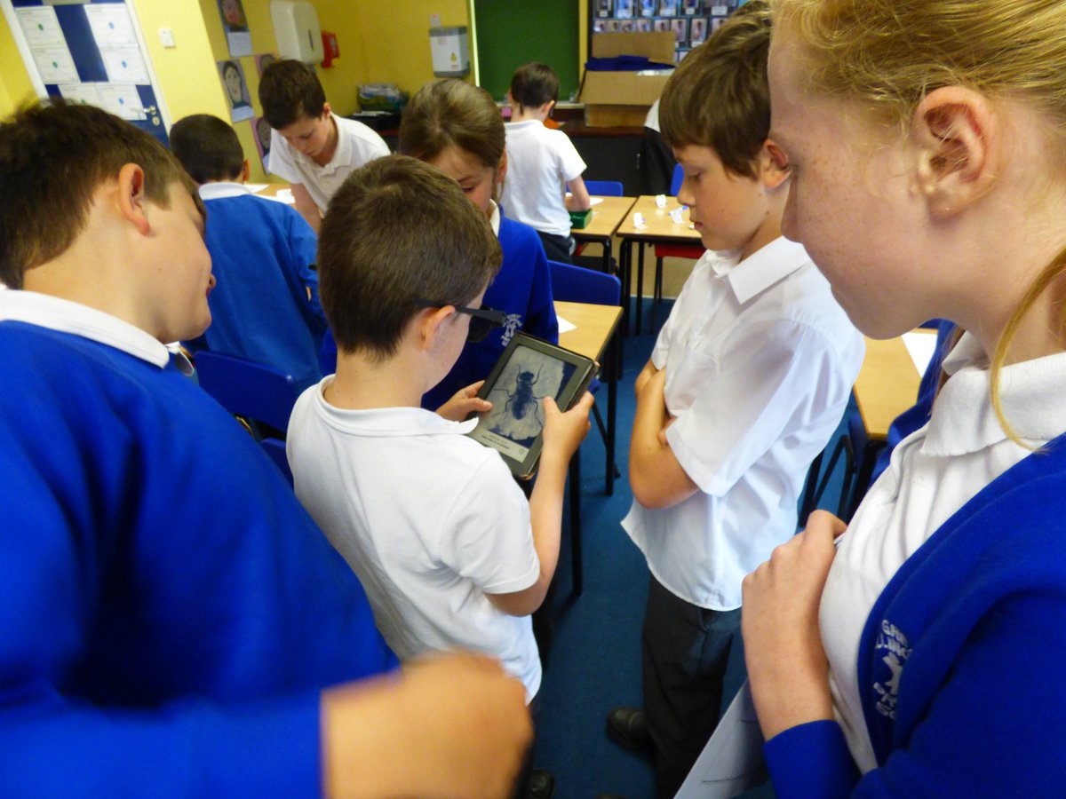GEPSClass6's tweet image. Thank you to Helen from @ColemanOptician for coming in to school yesterday and teaching the year 6 children all about how the eye works and how to keep them healthy. @gtellinghamsch