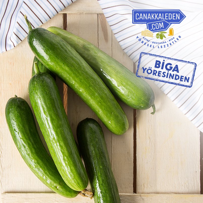 Yaz aylarının yemesi en güzel sebzesi salatalıklarımızı ister salatalarınızda, cacıklarınızda isterseniz de üstüne sadece tuz ekerek afiyetle tüketebilirsiniz. 🥒 🥗