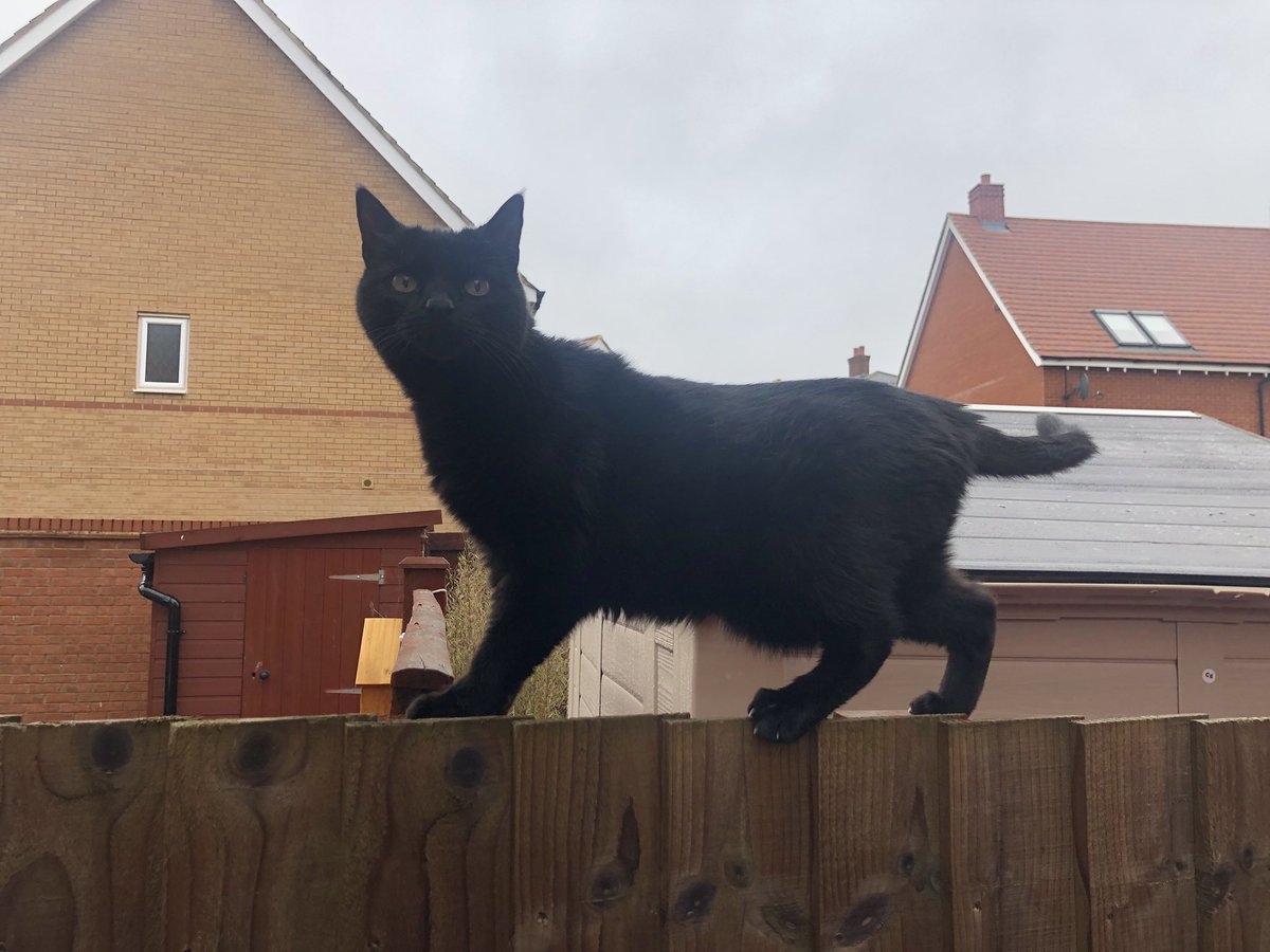 Sticker drop done at #YD19 - can you find any?