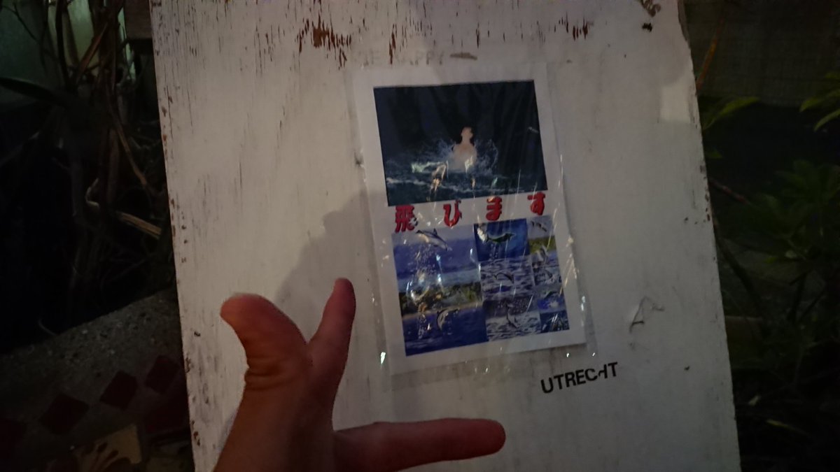 charao_bancyo's tweet image. 天才の個展を見てきたぜ。。。

#川島小鳥
#小橋陽介
#飛びます