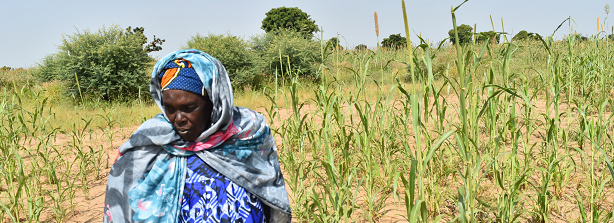 Global Challenges Programme Public Afternoon “Scaling Climate Smart Agriculture in EastAfrica”: A storm is needed with all stakeholders involved taking into account contexts &amp; needs, jointly finding the best ways to address the huge challenge of CSA and scale in a responsible way
