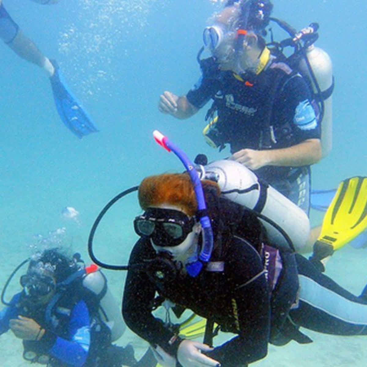 Come dive with us in Zanzibar. We also offer diving courses. Visit qoo.ly/xy735 
#diving #padi #padicourses #divingislife #divingfun #travel #zanzibar