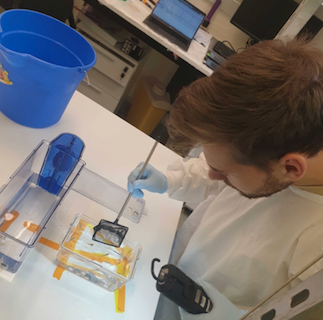 itchyshin's tweet photo. Dat 13: Our lab (#ideel) has a blog where all our members contribute to. The latest post is by Dom (our youngest member). Fish in a box: https://t.co/Xf2Z65zwHU https://t.co/YWbr5t8yI0