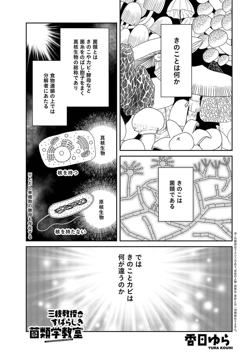 三枝教授のすばらしき菌類学講座 についてのきのこクラスタの反応 Togetter