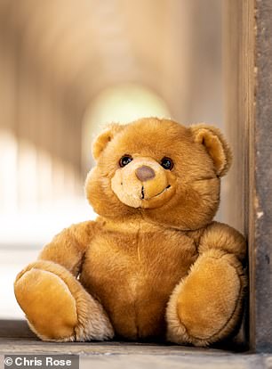 In a bid to reunite owners with a number of toys lost on their coaches, <a href="/nationalexpress/">National Express</a> has released these images as part of a new heart warming campaign 🐻💖 #PR #ToyStory4 #CustomerSatisfaction 

You can read more about the campaign here - dailymail.co.uk/travel/travel_….