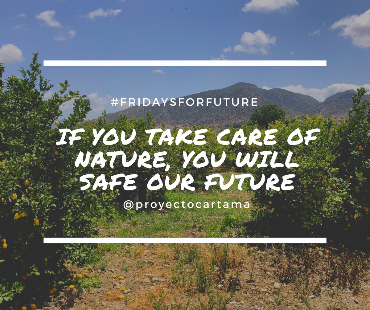 gretapato's tweet photo. How long will we have to wait to realize that our planet is in danger? How long will it take to do something about it? WE HAVE TO ACT NOW @auro_carretero @proyectocartama @Ayto_Cartama @jmruiz @patrucarrasco @pcastillolozano #StudentsForFuture  #FridaysForFuture @ptorresc https://t.co/MNscKWlfB0
