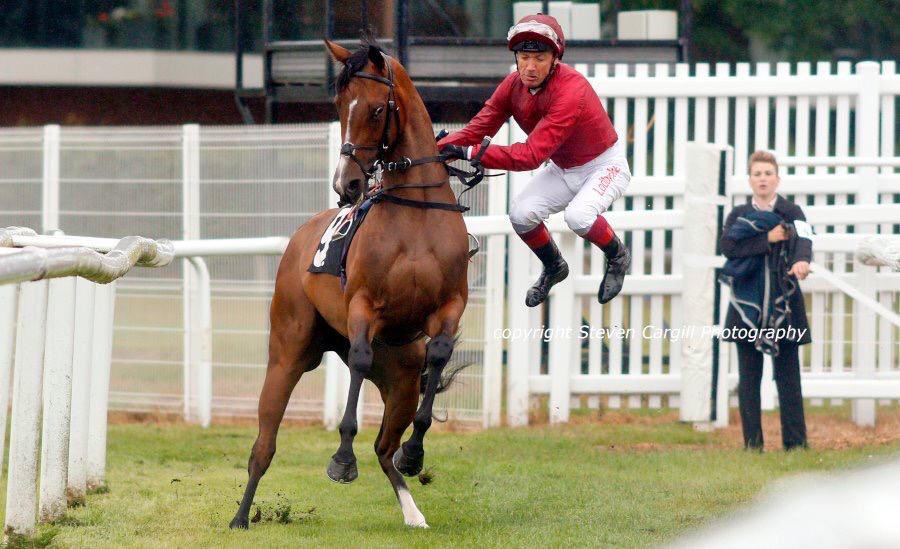 FrankieDettori tweet picture