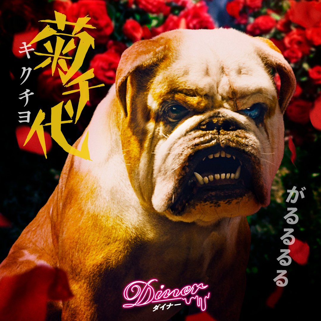 映画 ｄｉｎｅｒ ダイナー 公式 Lt がるるるる ボンベロの相棒の殺し屋 菊千代の一番弟子を大募集 菊千代に弟子入りさせたいあなたの相棒 ペット の写真とアピールポイントを 菊千代の弟子選手権 をつけて