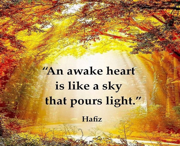 WhiteLightEntUK's tweet photo. Good morning everyone.  May you have a blessed and peaceful day. /|\

Sleeper, awaken your heart.

#FridayThoughts #FridayMotivation #Reiki #ReikiMusic #light #InnerPeace #GuidedMeditation #empathy #Positivity #Mindfulness  #EmotionalIntelligence #WLEUK #Basingstoke https://t.co/693Z8tHrV2
