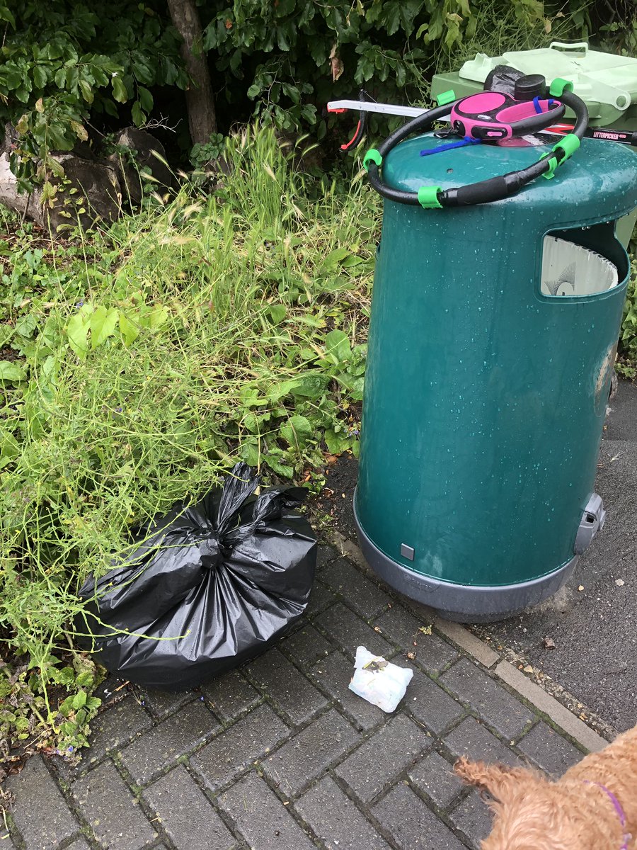LitterWalton's tweet photo. Half a bag filled from Hersham road, Ashley park and ElmGrove park. Lovely to see a dirty nappy left right next to the bin. They couldnโt even be bothered to put it in! Disgusting.@KeepBritainTidy #CommitToYourStreet #SpreadTheRedMap https://t.co/sAH4JRrPt4