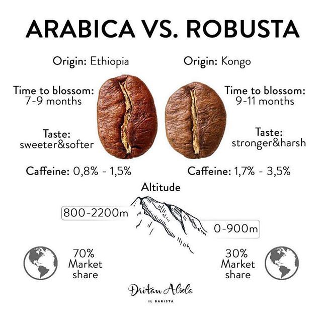 AlternBrewing's tweet photo. Arabica VS. Robusta ☕️ #baristatips #barista #coffee #alternativebrewing | Shop Beans👉 Link in Bio
📷by @dritanalsela https://t.co/4RLRrrCVvE https://t.co/j3QUoWHmEK