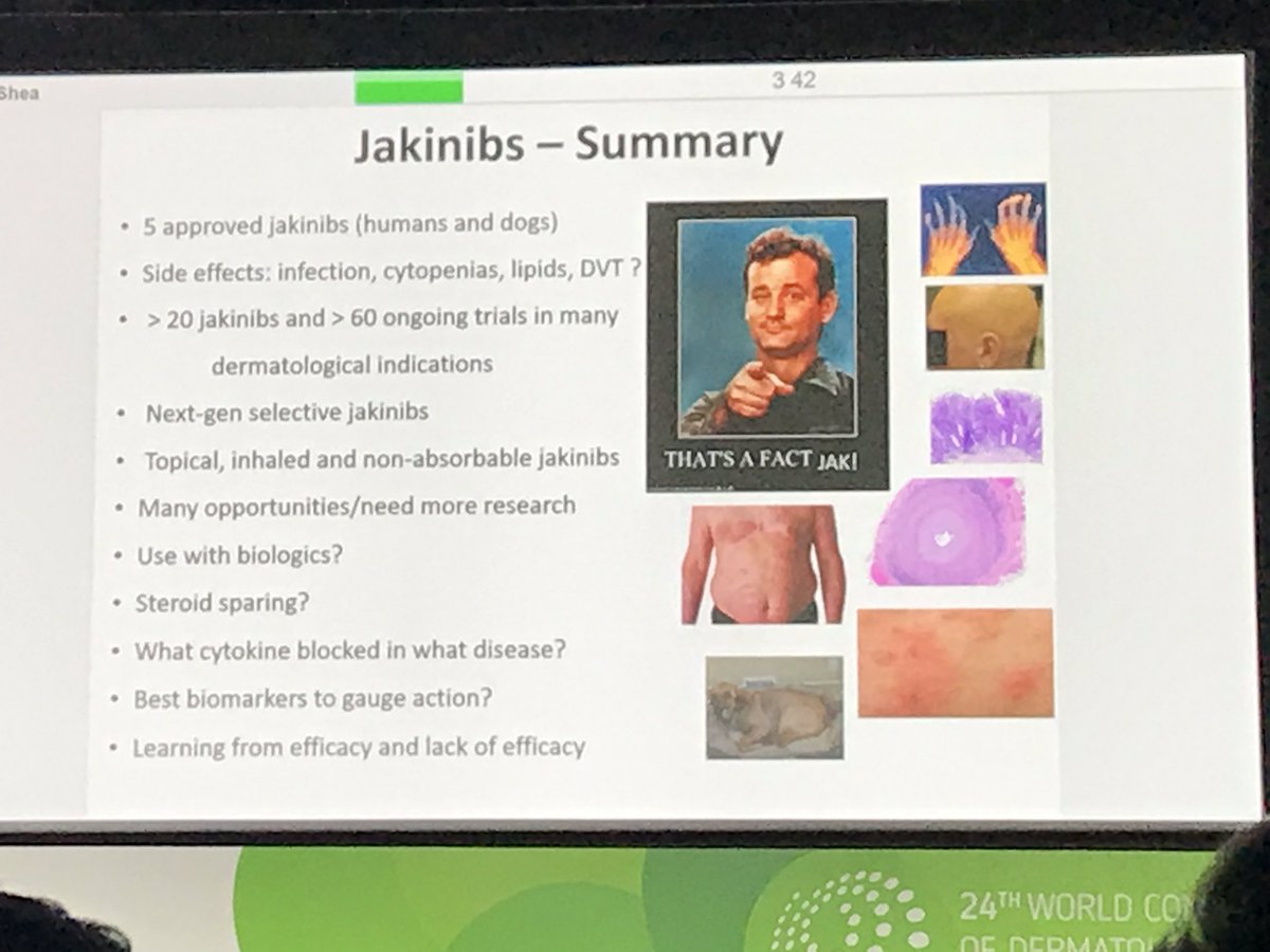 Nice summary slide of #JAKinhibitors in Dermatology and beyond at #wcd2019milan by Dr John O’Shea