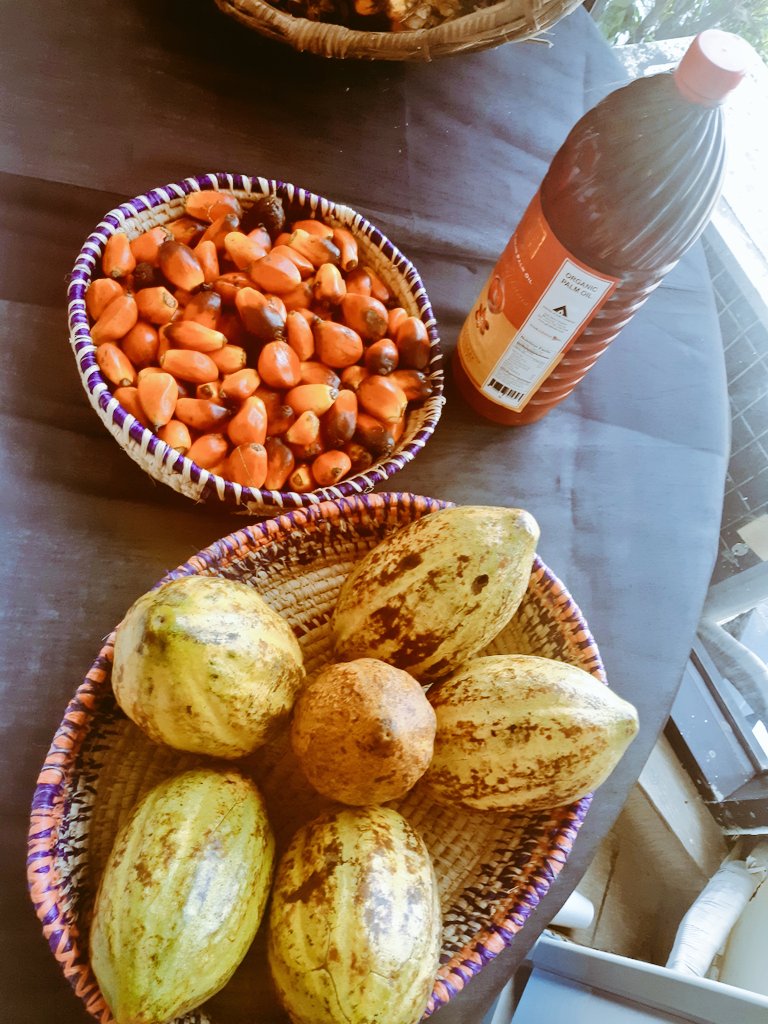 Solidaridad_wa's tweet photo. All is  set to officially launch two new programs,#CORIP and #SWAPP  today to post the production of cocoa and oil palm in Liberia. #CORIP #SWAPP  are funded by @NLinGhana   #Solidaridad50 ##ChangeThatMatters https://t.co/5gjWwgJIl4