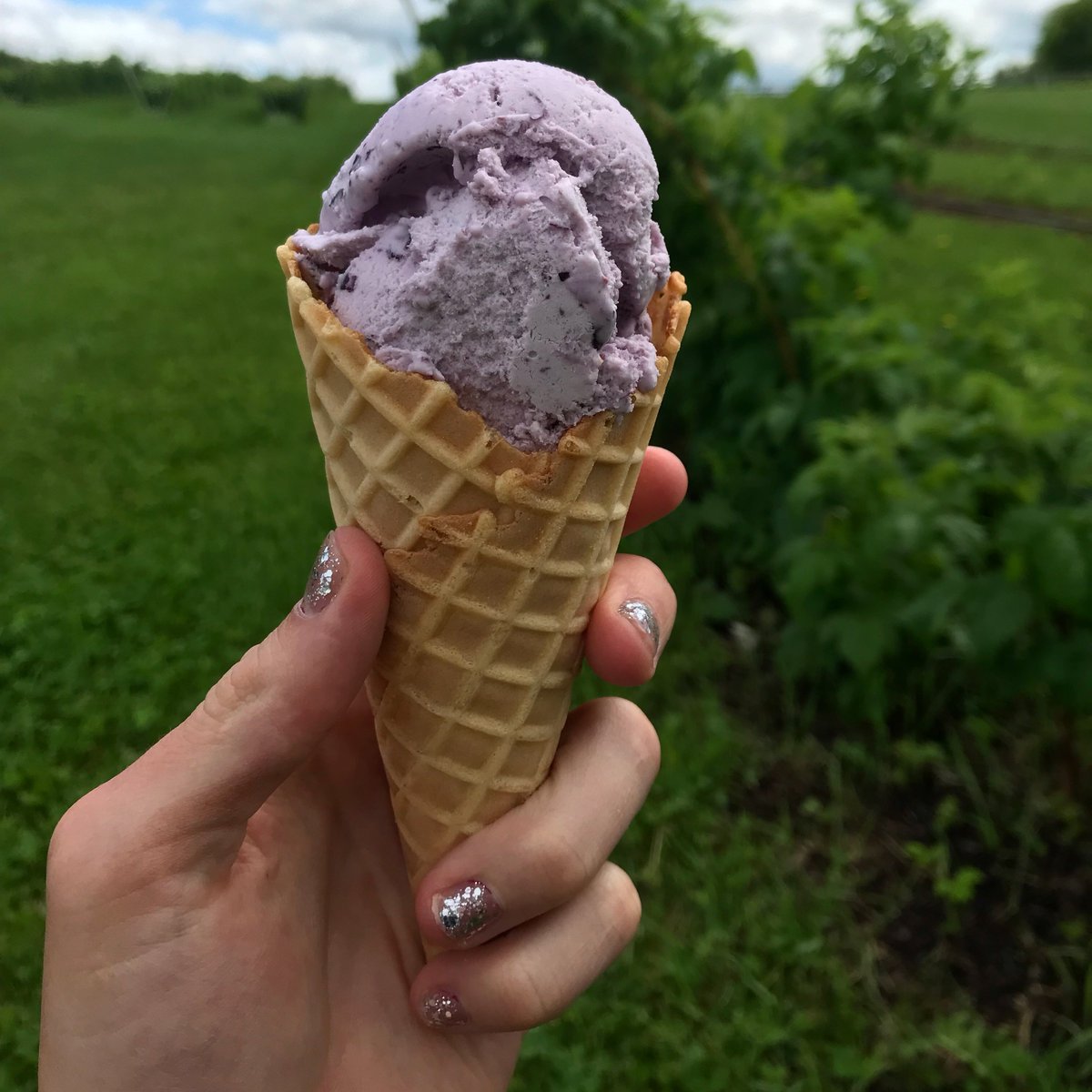 Sisters of Anarchy Ice Cream tweet media