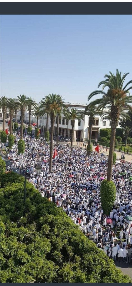 belahcen_maha's tweet photo. Moroccan medical students need your support, help us!!! #doctorsunderoppression 
@BBCArabic
@TIME
@ABC
@cnnarabic @CNN @CNNFrancePR
@FoxNews
@AlArabiya
@AljazeeraHealth
@AlJazeera
@France24_ar https://t.co/0NxcbFfDBy