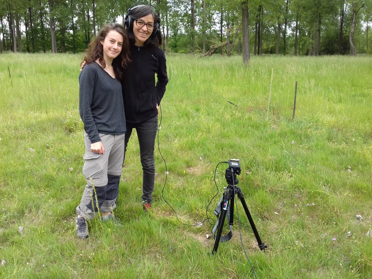 Lechantdesvers tweet media