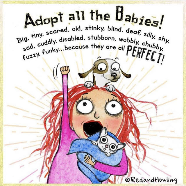 knowlesanimal's tweet photo. #DidYouKnow we feature #PetsForAdoption and #PetTIps on our IG and FB pages? Have a look at the best reasons to #AdoptDontShop: https://t.co/ZtYj3OdI5k

#AtKnowlesWeKnow #MiamiPetAdoption #MiamiVets https://t.co/WN2I5eQpE9