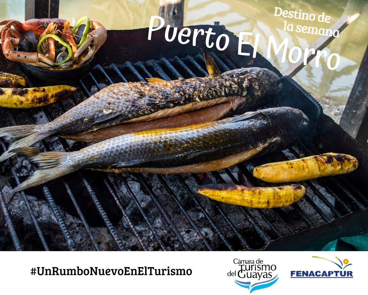 ¿Conoces el plato típico de #PuertoElMorro ?
La lisa asada servida con #arroz blanco, #patacones y #ensalada, deleita a #turistas nacionales y extranjeros.
¿Qué esperas para conocer Puerto El Morro?
#DestinoDeLaSemana
#UnRumboNuevoEnElTurismo
<a href="/capturGuayas/">Camara de Turismo</a>