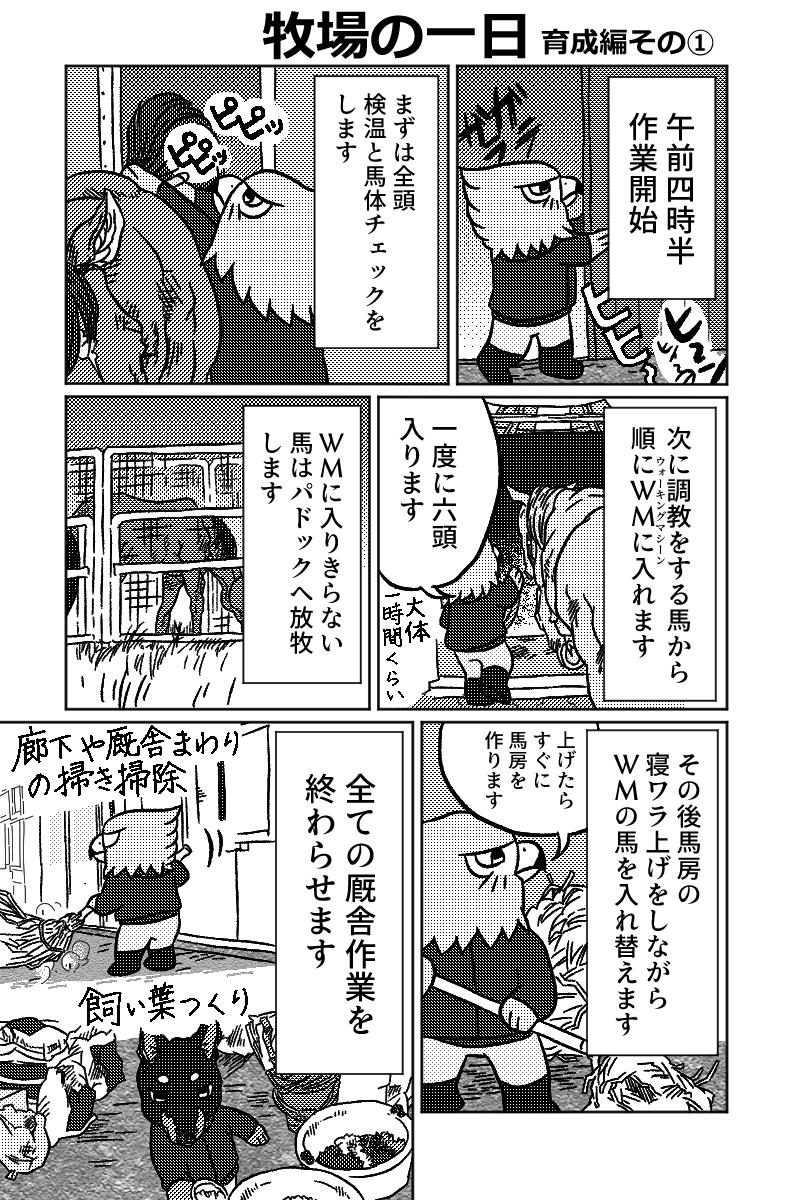 牧場まんが「牧場の一日育成編」
育成牧場の一日を漫画にしました。作業内容は季節や牧場によって変わってきます。
この牧場では朝休憩と朝飼いが無いですが(飼い食いが悪いため)、これも牧場によって様々だと思います。
#牧場 #エッセイ漫画 #馬 #育成 