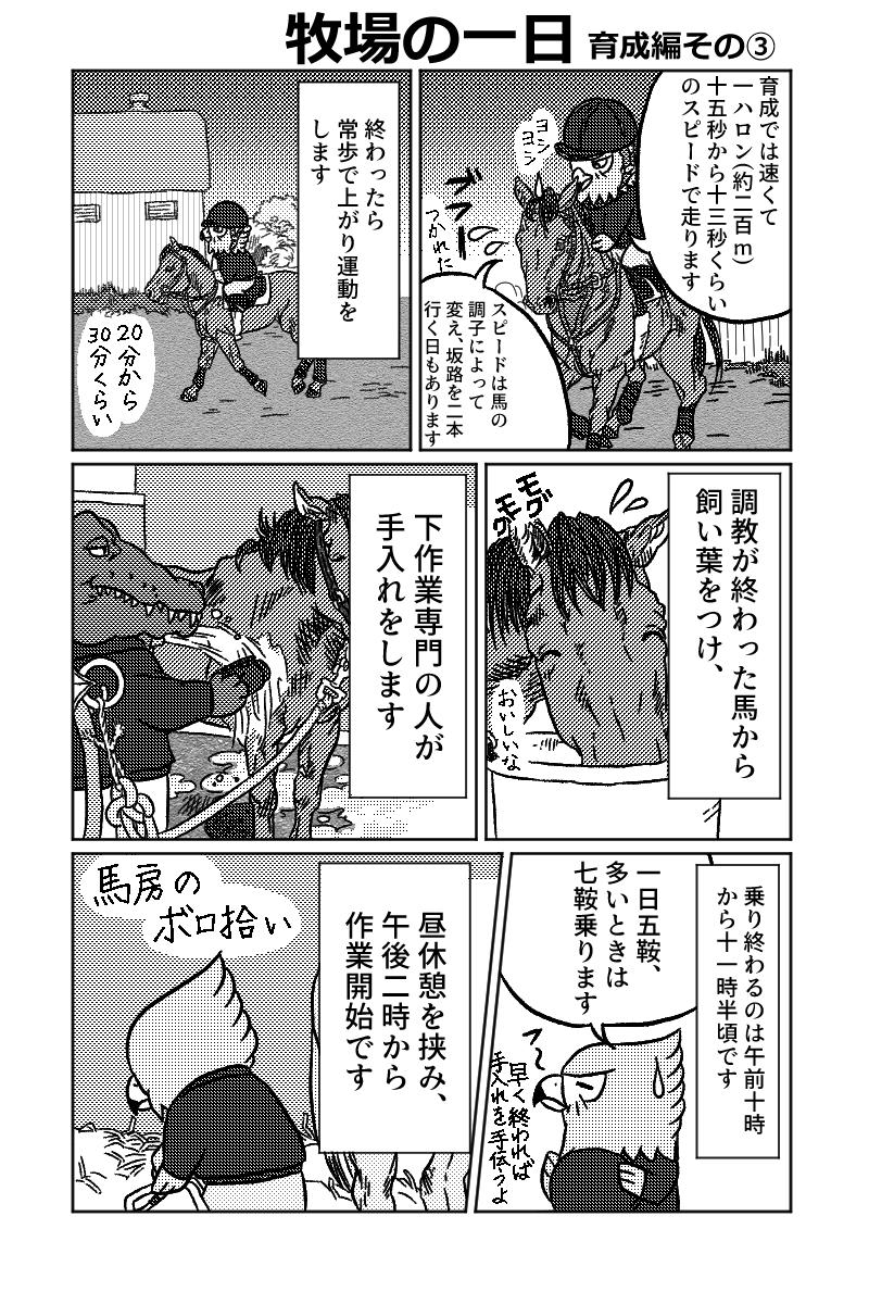 牧場まんが「牧場の一日育成編」
育成牧場の一日を漫画にしました。作業内容は季節や牧場によって変わってきます。
この牧場では朝休憩と朝飼いが無いですが(飼い食いが悪いため)、これも牧場によって様々だと思います。
#牧場 #エッセイ漫画 #馬 #育成 