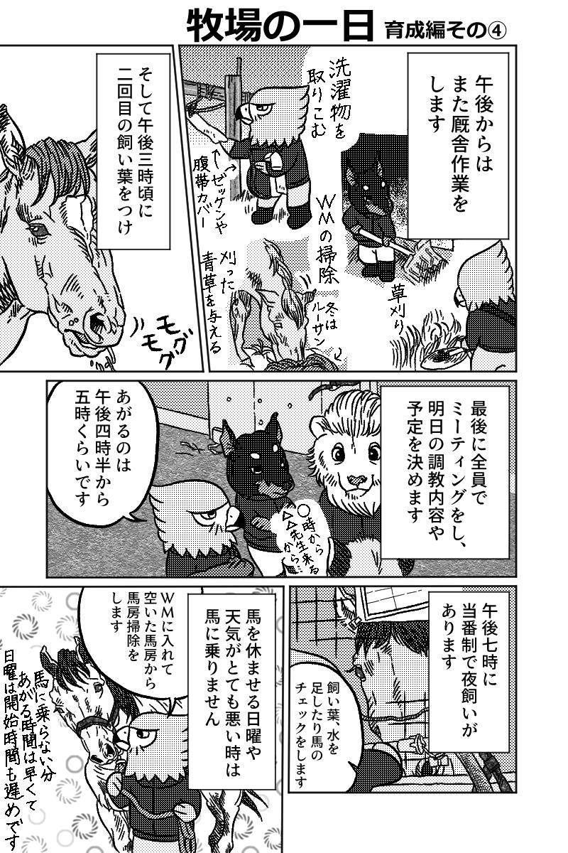 牧場まんが「牧場の一日育成編」
育成牧場の一日を漫画にしました。作業内容は季節や牧場によって変わってきます。
この牧場では朝休憩と朝飼いが無いですが(飼い食いが悪いため)、これも牧場によって様々だと思います。
#牧場 #エッセイ漫画 #馬 #育成 