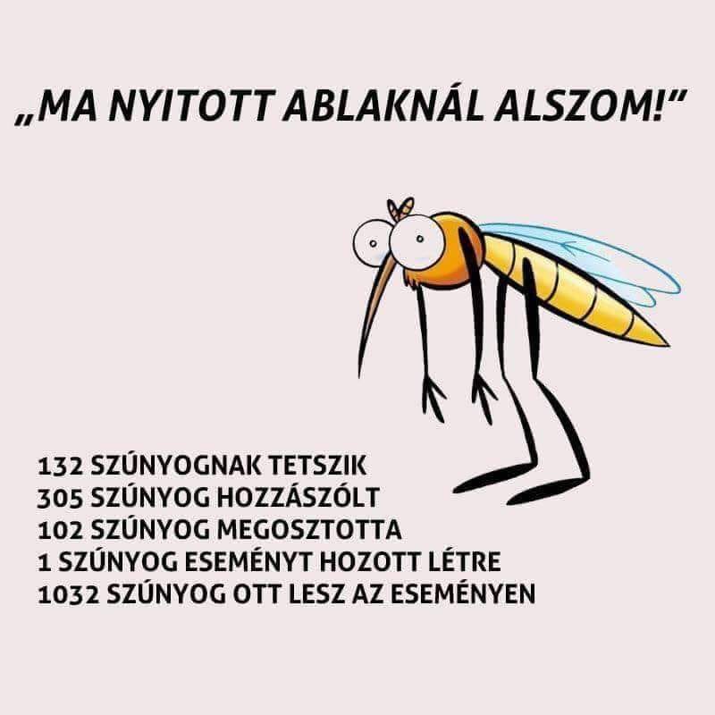 _EniG_'s tweet photo. Az aktív felhasználók... 🙄🙂 https://t.co/yRdRHaljPH