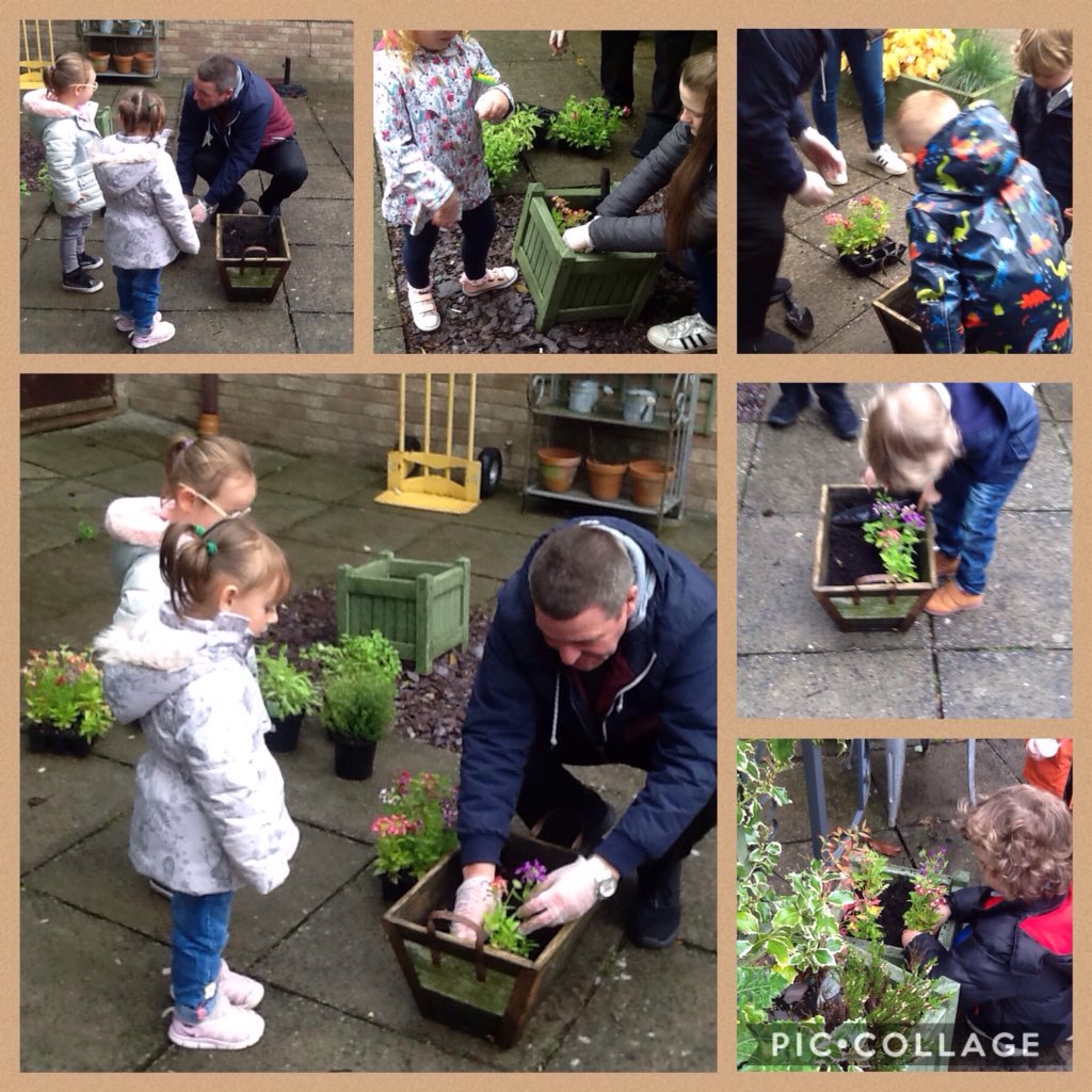 RYFOren's tweet photo. Day 14 #30DaysWild 
Today we looked for mini wildness in Bankhouse's garden. We found lots of minibeasts and then we planted flowers to make our friends happy #Bearainbow @rhosyfedwen @RyfEco #FACE @BGIntergen https://t.co/Lrkzwp5vdV