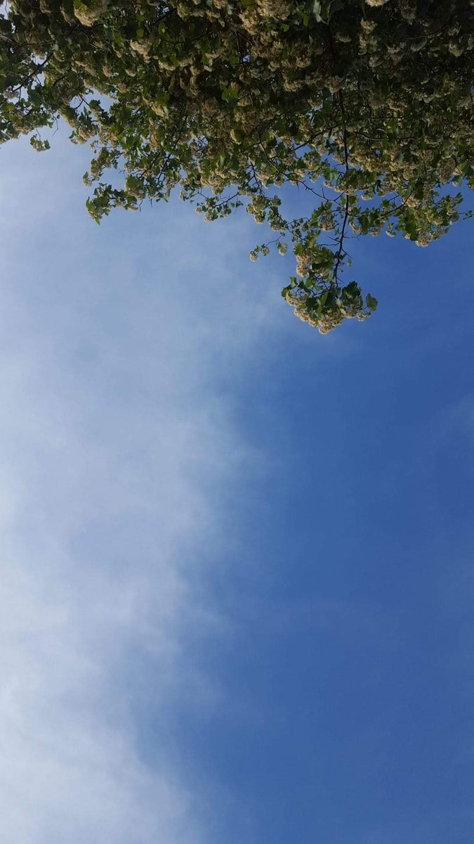 verucabat's tweet image. The mat is always a great way to start the day. Thanks #SLPY at #SLCPL !