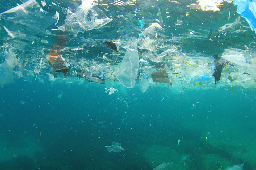 CraftexUK's tweet photo. Check out our latest blog post! #cleaning #sustainability #environment #health #innovation #SingleUsePlastics #Purex👉https://t.co/Q6uHP4UlrO https://t.co/xN3Uds83bJ
