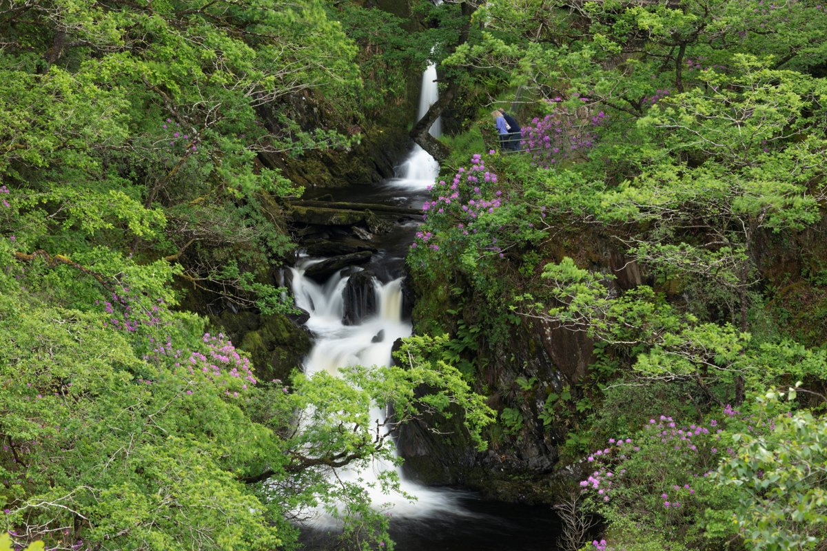 visitceredigion's tweet image. ☔️At least it's great #weather for waterfalls!  #DevilsBridge #Ceredigion