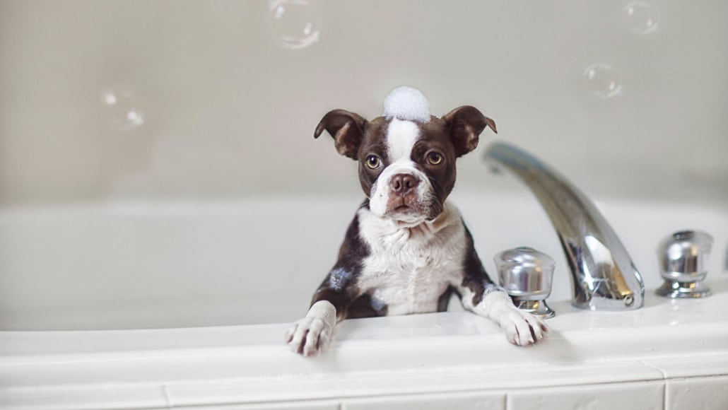 KandBPlace's tweet photo. 🛀HAPPY WORLD BATH DAY🛁
We asked the office what their -must have- bath essentials are for bath time.  😂 #Friday14thJune #WorldBathDay 

✔️Favourite bubble bath
✔️Candles
✔️Music
✔️Fairy Lights
✔️Glass of Wine
✔️Kindle
✔️iPad
✔️Bath Pillow

but most of all.....NO INTERRUPTIONS! https://t.co/JGnJkgEafC